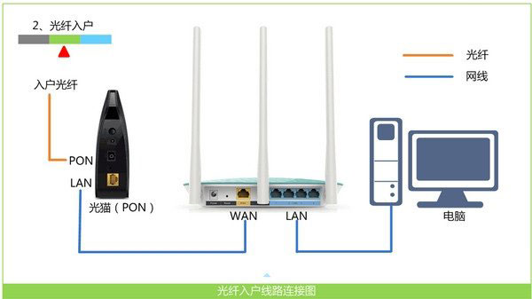 TP-Link·