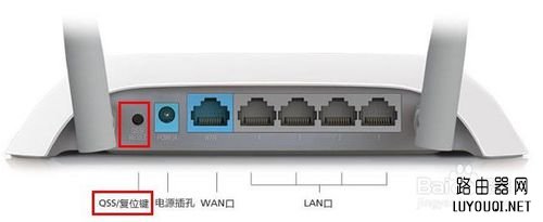 TP-Link·ôָ