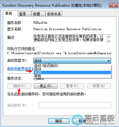 ѡ����������