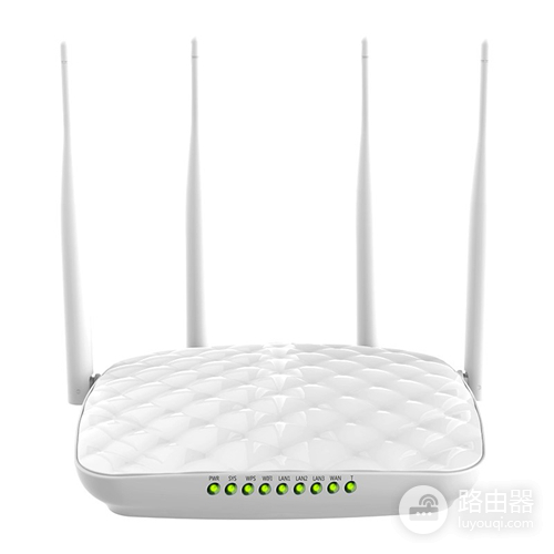 �ڴ� F451 ����·������̬IP�������÷���