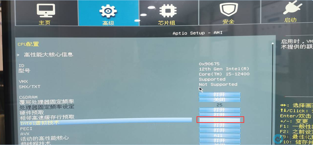 ����Intel���⻯����