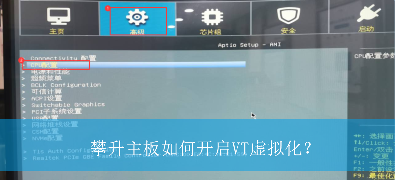 ����������ο���VT���⻯��|��������VT���⻯�Ŀ�������