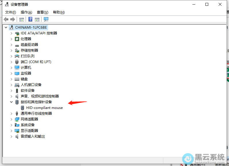 展开鼠标和其他指针鼠标