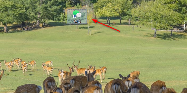 ����΢�Ž�ͼ��ݼ�����������ô�죿(3�ַ���)