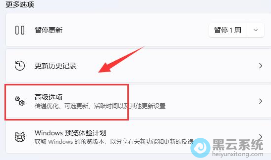 ����߼�ѡ��