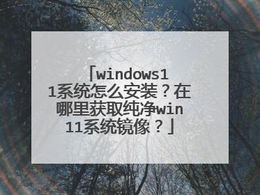 windows11ϵͳ��ô��װ���������ȡ����win11ϵͳ����