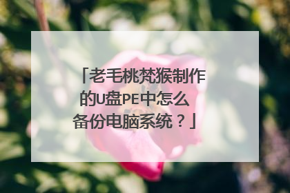 ��ë�����������U��PE����ô���ݵ���ϵͳ��