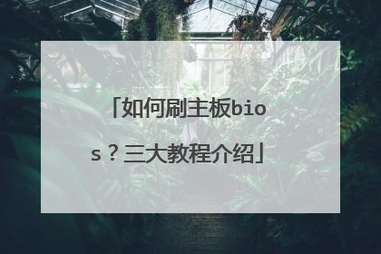 ���ˢ����bios������̳̽���