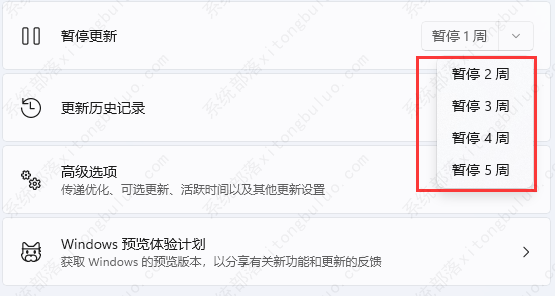 win11ֹͣ������ô���ã�win11ֹͣ�������ý̳�