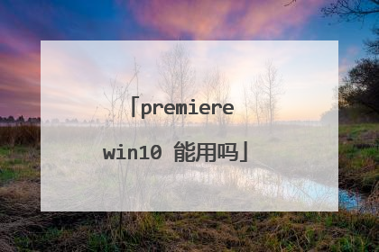 premiere win10 ������