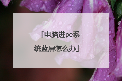 ���Խ�peϵͳ������ô��