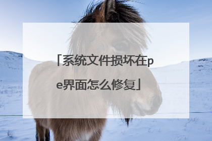 ϵͳ�ļ�����pe������ô�޸�