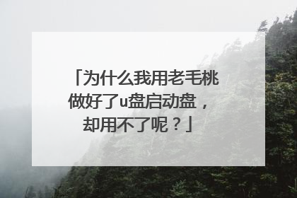 Ϊʲô������ë��������u�������̣�ȴ�ò����أ�