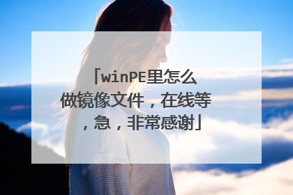 winPE����ô�������ļ������ߵȣ������ǳ���л