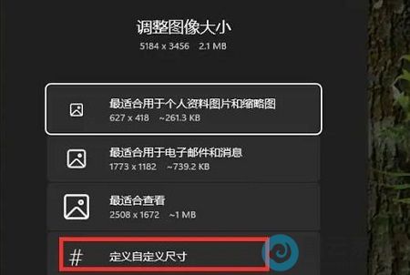 ѡ�����Զ���ߴ�