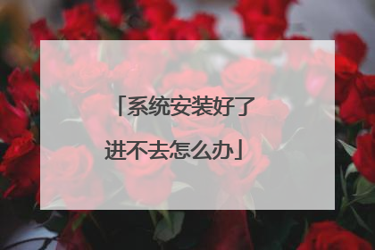 ϵͳ��װ���˽���ȥ��ô��