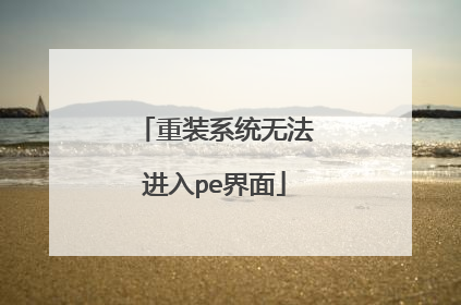 ��װϵͳ�޷�����pe����