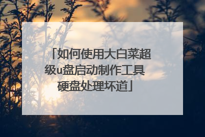 ���ʹ�ô�ײ˳���u��������������Ӳ�̴�������