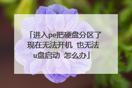 ����pe��Ӳ�̷����� �����޷����� Ҳ�޷�u������ ��ô��