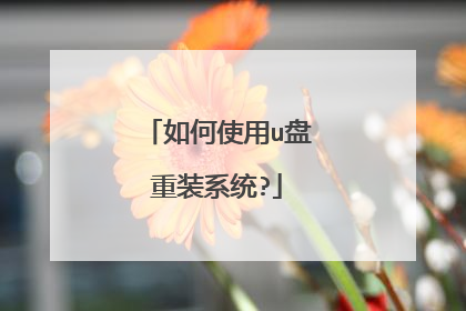 ���ʹ��u����װϵͳ?