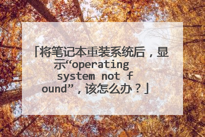 ���ʼǱ���װϵͳ����ʾ��operating system not found��������ô�죿