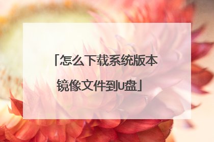 ��ô����ϵͳ�汾�����ļ���U��