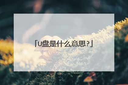 U����ʲô��˼?