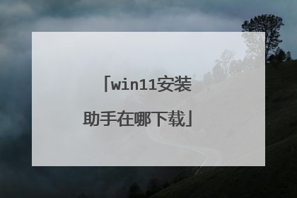 win11��װ������������