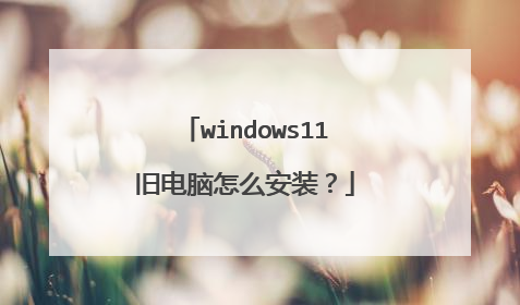 windows11�ɵ�����ô��װ��