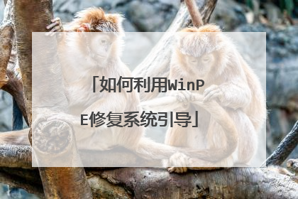 �������WinPE�޸�ϵͳ����