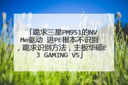 ��������PM951��NVMe���� ��PE������ʶ�𣬹���ʶ�𷽷������廪˶E3 GAMING V5