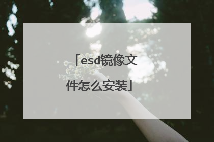 esd�����ļ���ô��װ