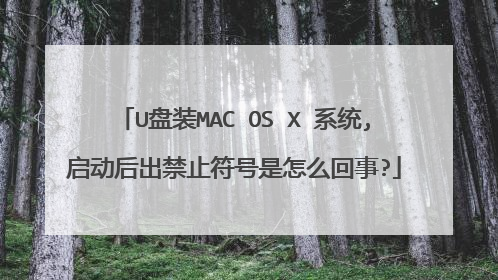 U��װMAC OS X ϵͳ,���������ֹ��������ô����?