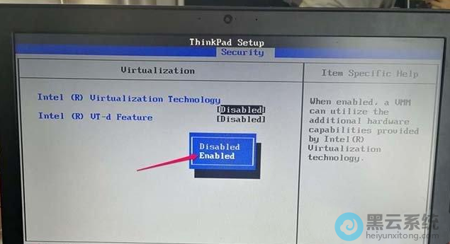 ����vt���⻯����