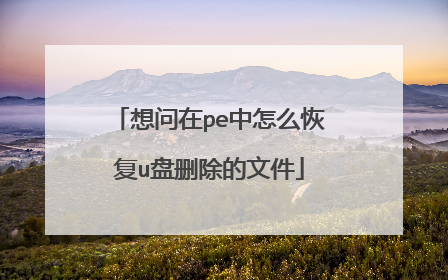 ������pe����ô�ָ�u��ɾ�����ļ�