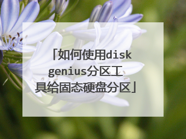 ���ʹ��diskgenius�������߸���̬Ӳ�̷���