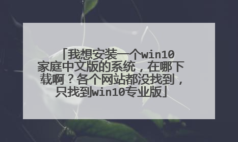 ���밲װһ��win10��ͥ���İ��ϵͳ���������ذ���������վ��û�ҵ���ֻ�ҵ�win10רҵ��