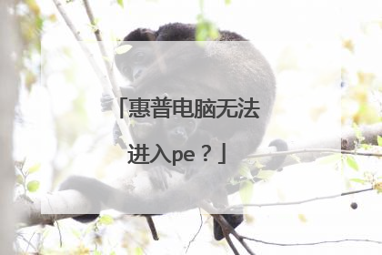 ���յ����޷�����pe��