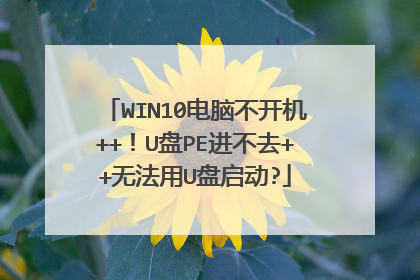 WIN10���Բ�����++��U��PE����ȥ++�޷���U������?