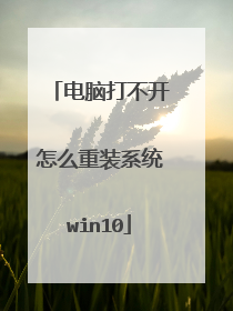 ���Դ򲻿���ô��װϵͳwin10