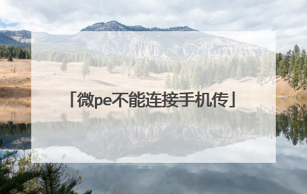 ΢pe���������ֻ���