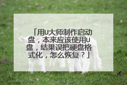 ��U��ʦ���������̣�����Ӧ��ʹ��U�̣�������Ӳ�̸�ʽ������ô�ָ���