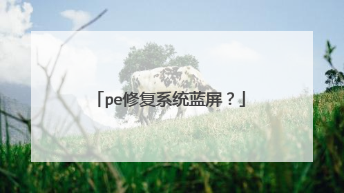 pe�޸�ϵͳ������