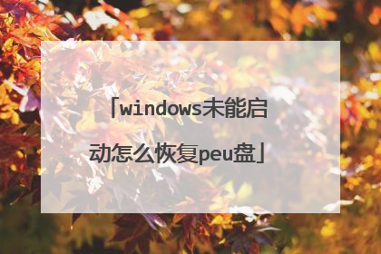 windowsδ��������ô�ָ�peu��