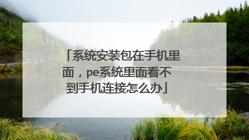 ϵͳ��װ�����ֻ����棬peϵͳ���濴�����ֻ�������ô��