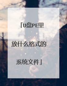 U��PE���ʲô��ʽ��ϵͳ�ļ�