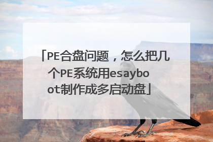 PE�������⣬��ô�Ѽ���PEϵͳ��esayboot�����ɶ�������