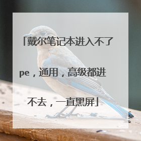 �����ʼǱ����벻��pe��ͨ�ã��߼�������ȥ��һֱ����