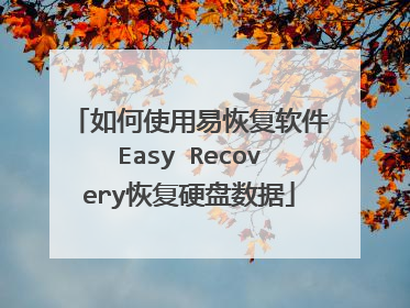 ���ʹ���׻ָ�����Easy Recovery�ָ�Ӳ������