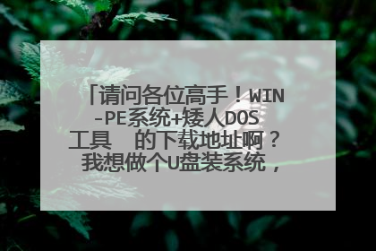 ���ʸ�λ���֣�WIN-PEϵͳ+����DOS���ߵ����ص�ַ���� ��������U��װϵͳ���ҵ�U��4G